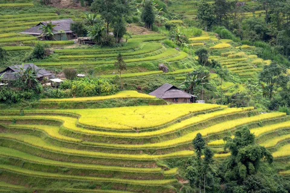 Kho gạo của Hồ Thị Nu