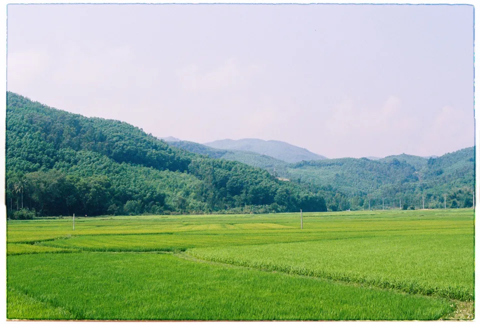 Kho gạo xếp bao